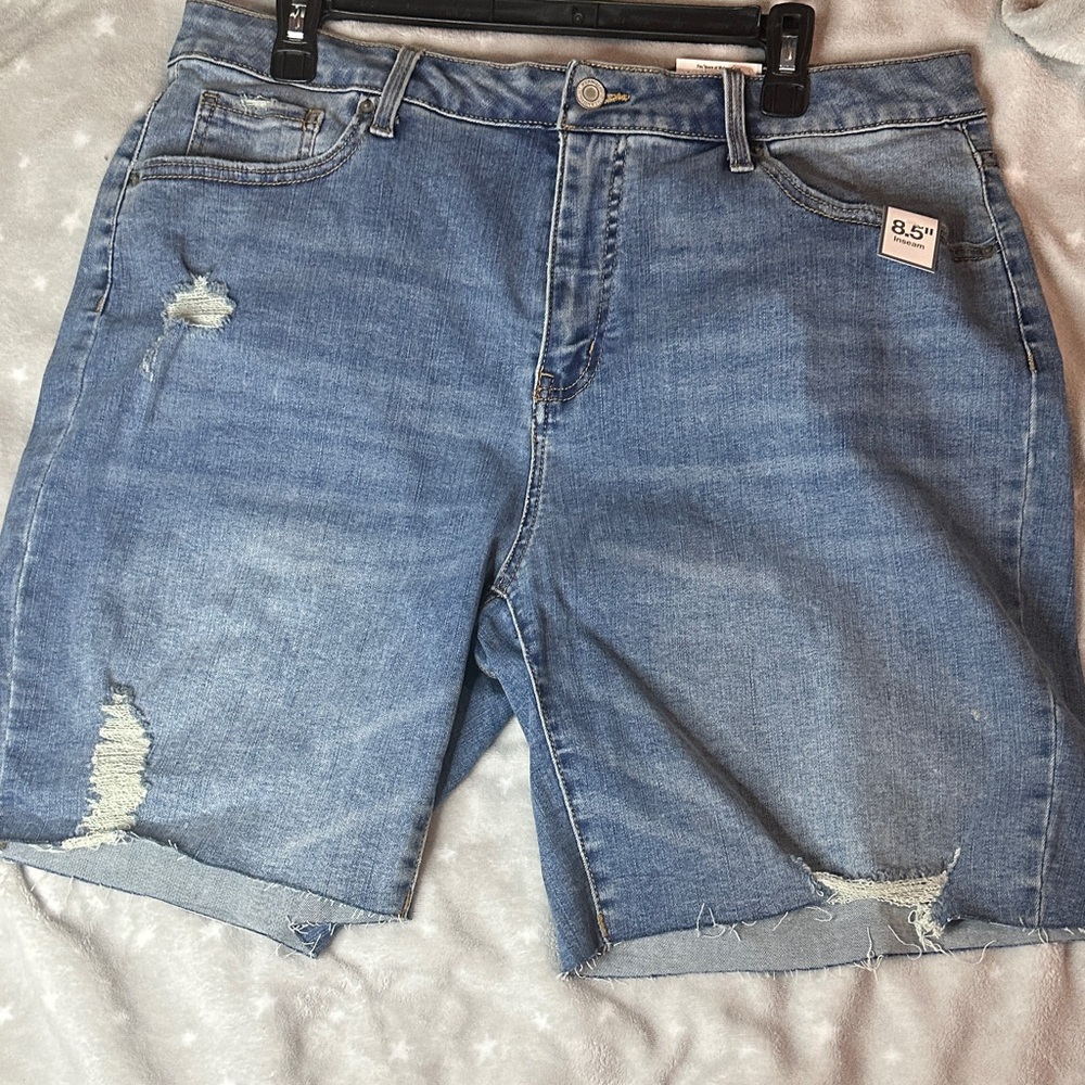 Time and Tru Men's Light Blue Distressed Jean Shorts